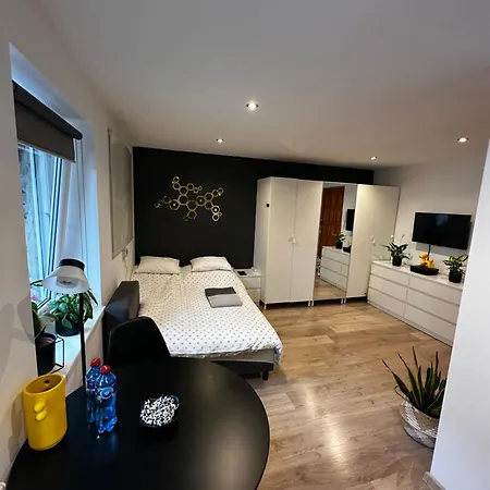 Matejki - Self Check In 24h - 200m Od Dworca Katowice